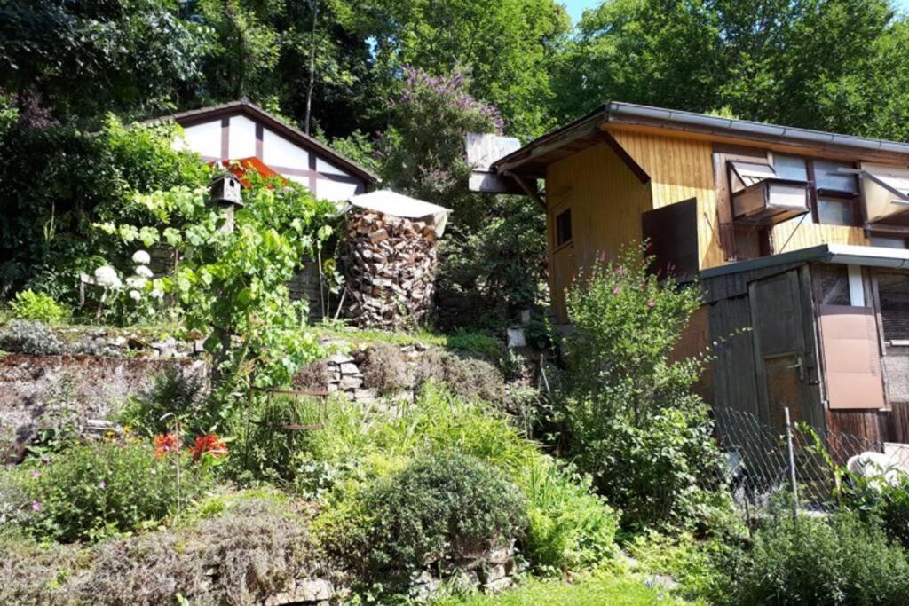 Eine Gemuetliche Ferienwohnung Mit Garten Bad Karlshafen Buitenkant foto
