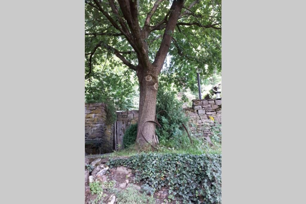 Eine Gemuetliche Ferienwohnung Mit Garten Bad Karlshafen Buitenkant foto