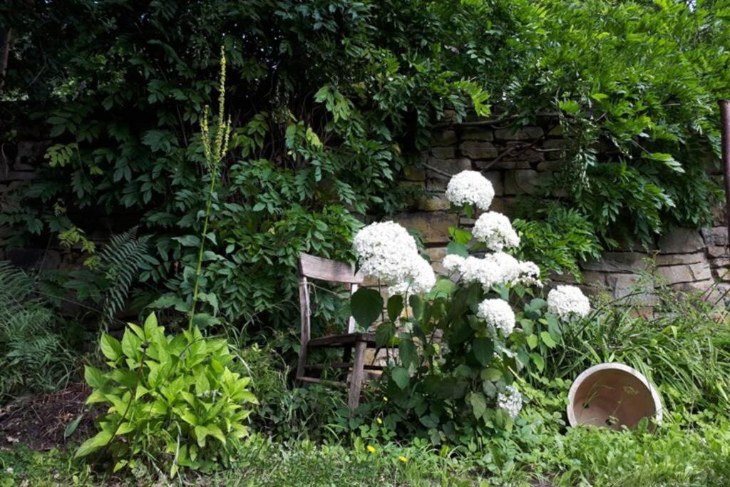 Eine Gemuetliche Ferienwohnung Mit Garten Bad Karlshafen Buitenkant foto